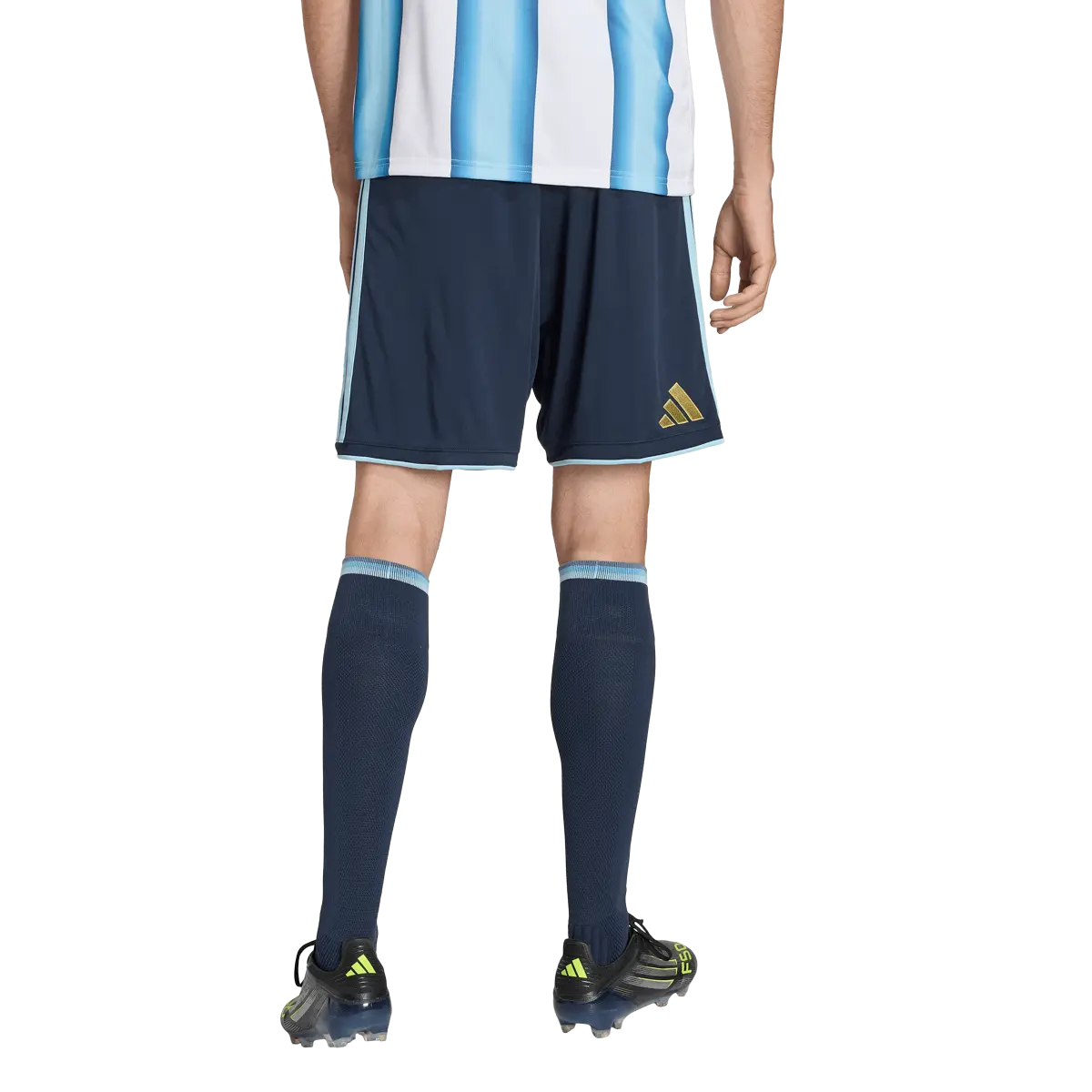 Argentinien Herrenfußballshort Home, Replica Heimshorts mit Climacool für Training, Spiel und Fanwear - machsport