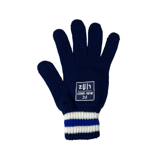 FC Blau-Weiß Linz Handschuhe - machsport