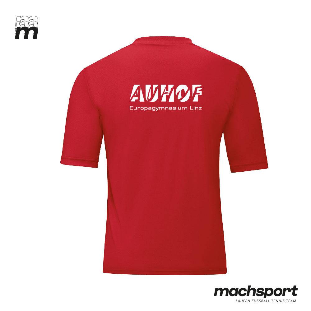 Europagymnasium Auhof Trikot - machsport