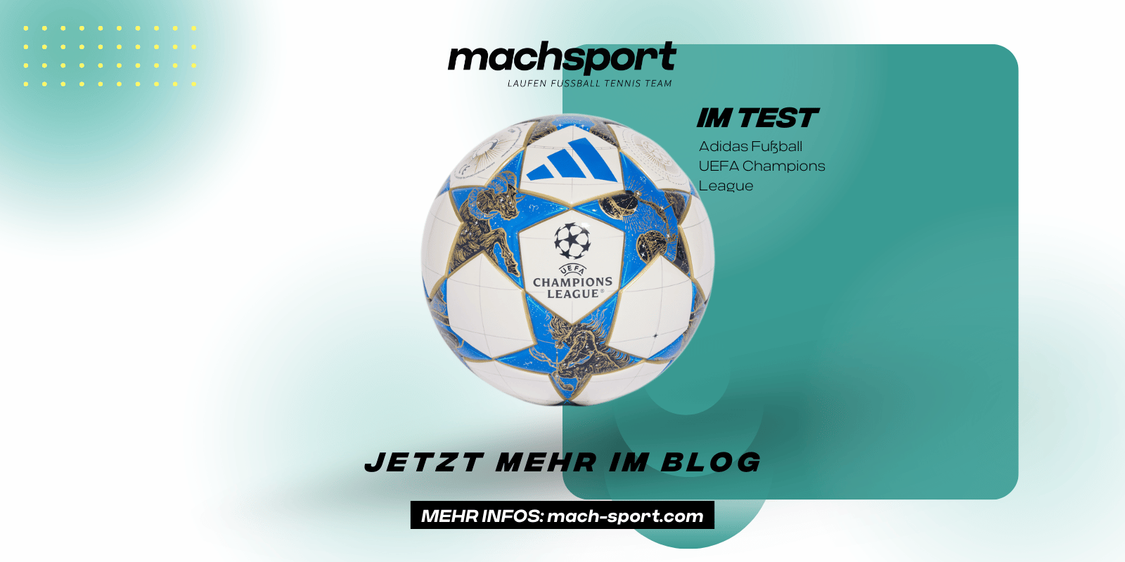 🧠 Test: Wie schlägt sich der Adidas UEFA Champions League Ball im Training & Match? ⚽🔥
