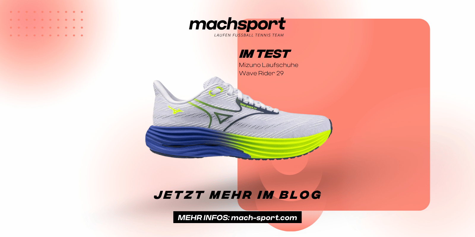 Mizuno Laufschuhe Wave Rider 29
