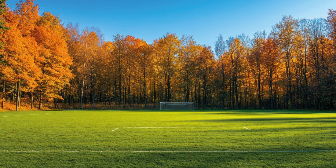 Fußballfeld im Herbst