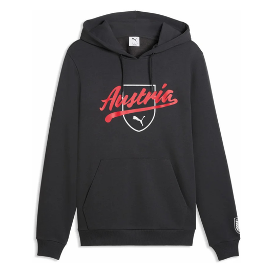 ÖFB Herrenfußballpullover Culture Hoody – grau / S