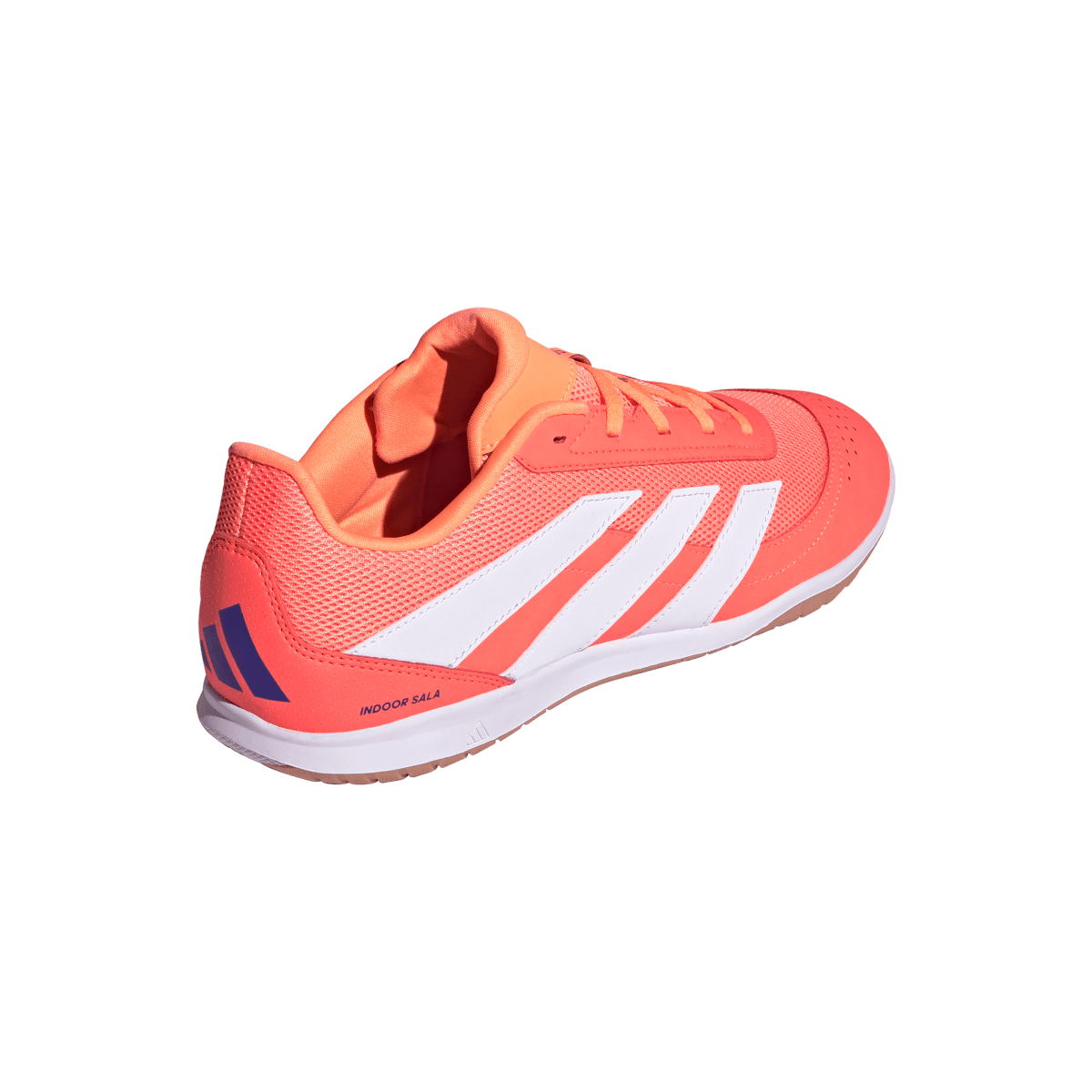 Adidas Hallenfußballschuhe Predator Club In Sala – Bild 