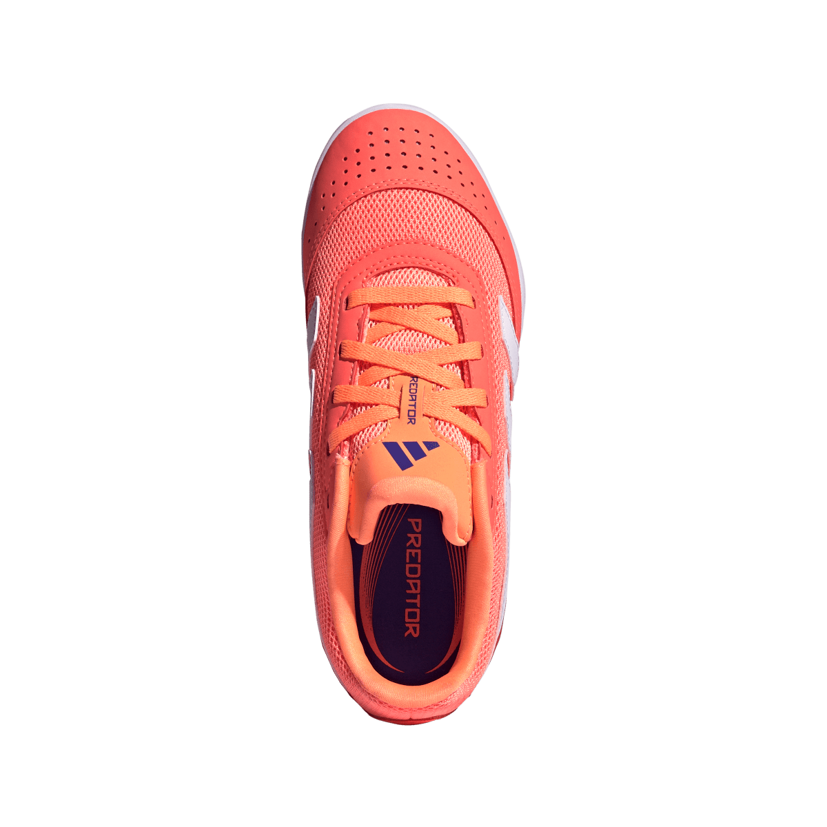 Adidas Kinderhallenfußballschuhe Predator Club In Sala