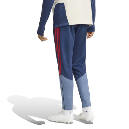 FC Bayern München Herrenfußballhose Training 26/27