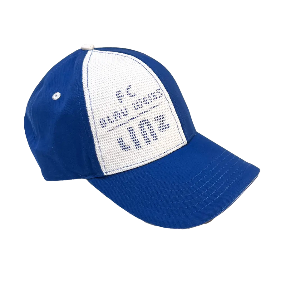 FC Blau-Weiß Linz Cap Netz
