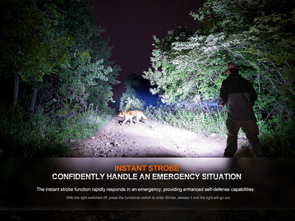 Fenix HT32 Outdoor Jagd-Taschenlampe, 2500 Lumen