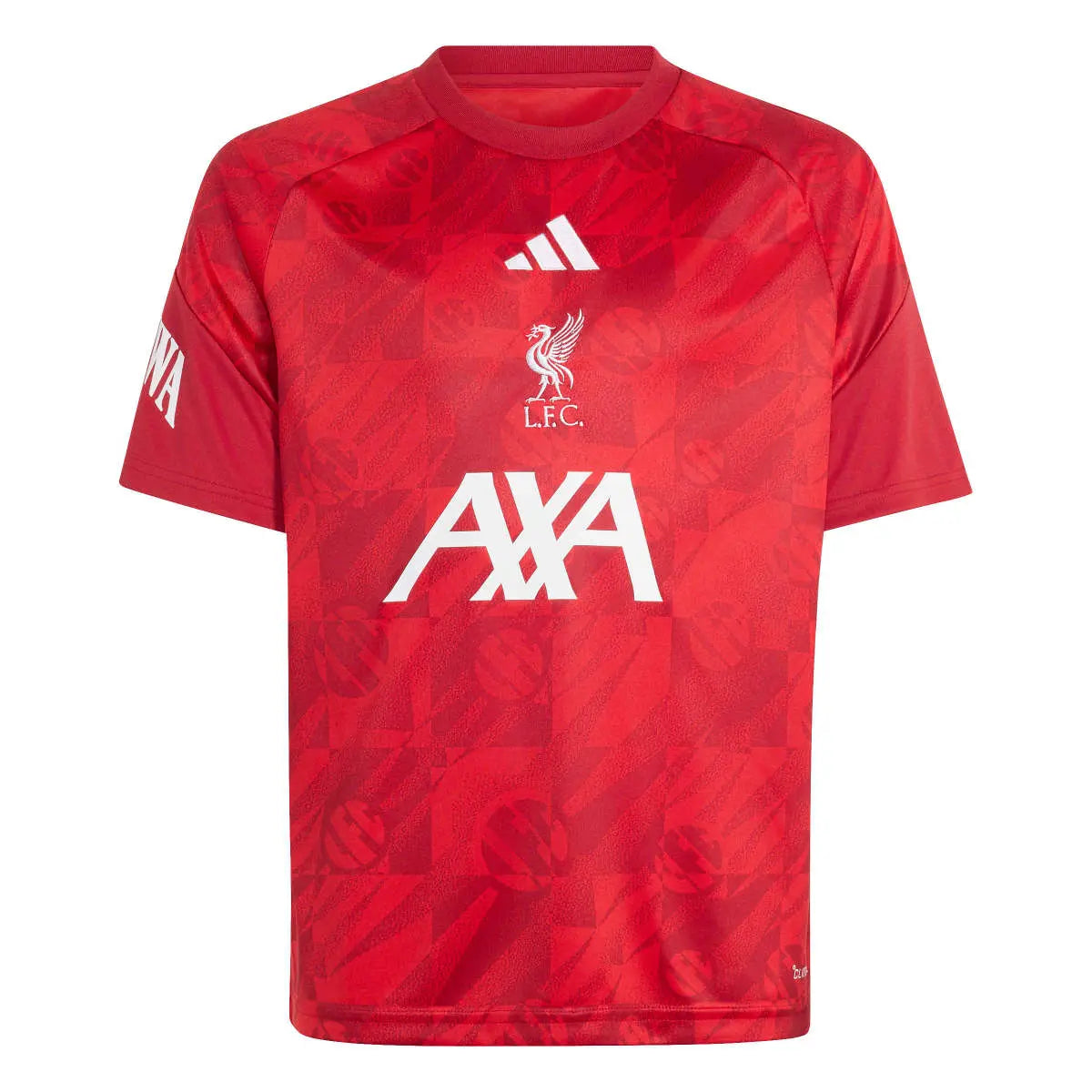 FC Liverpool Kinderfußballshirt Prematch Jersey 26/27