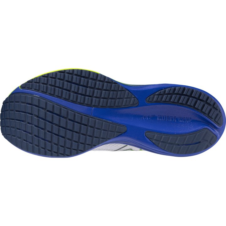 Mizuno Herrenlaufschuhe Wave Rider 29