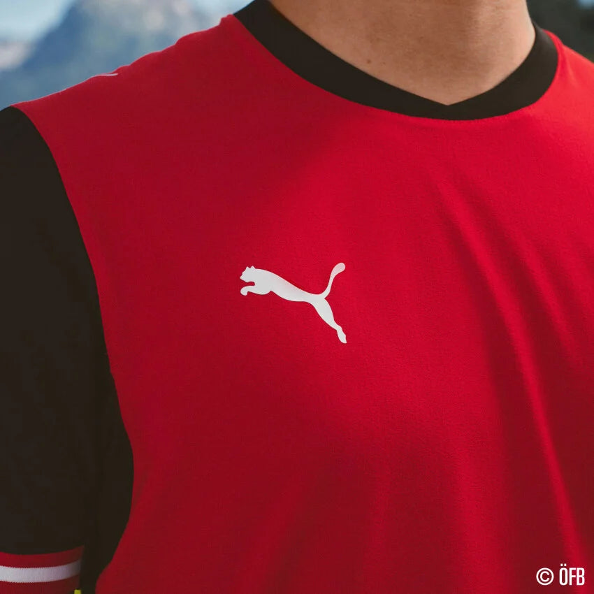 Österreich ÖFB Herrentrikot Home Jersey Replica 2026