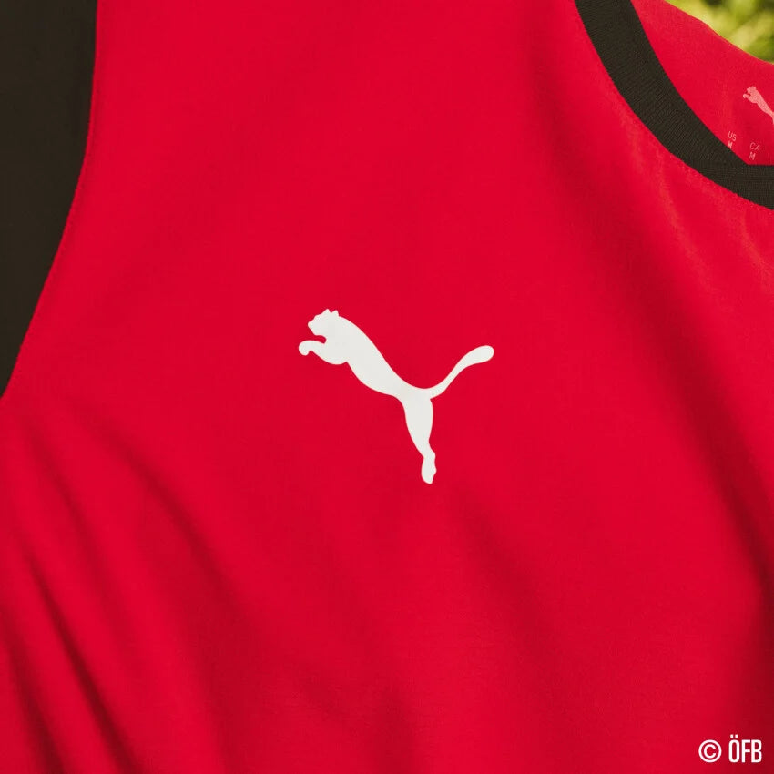 Österreich ÖFB Kindertrikot Home Jersey Replica 2026