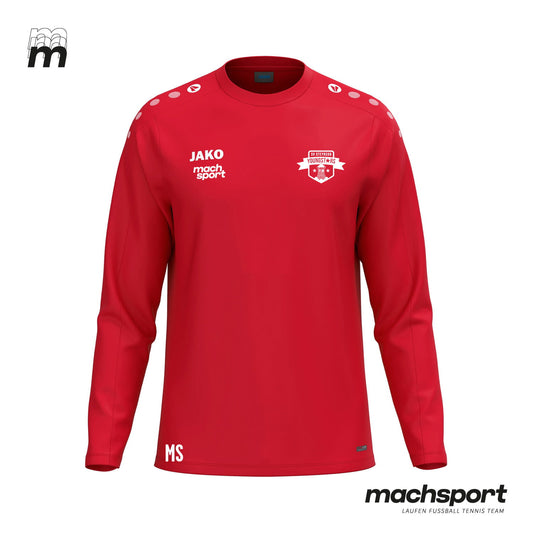 SV Steyregg Youngstars Sweater – 116