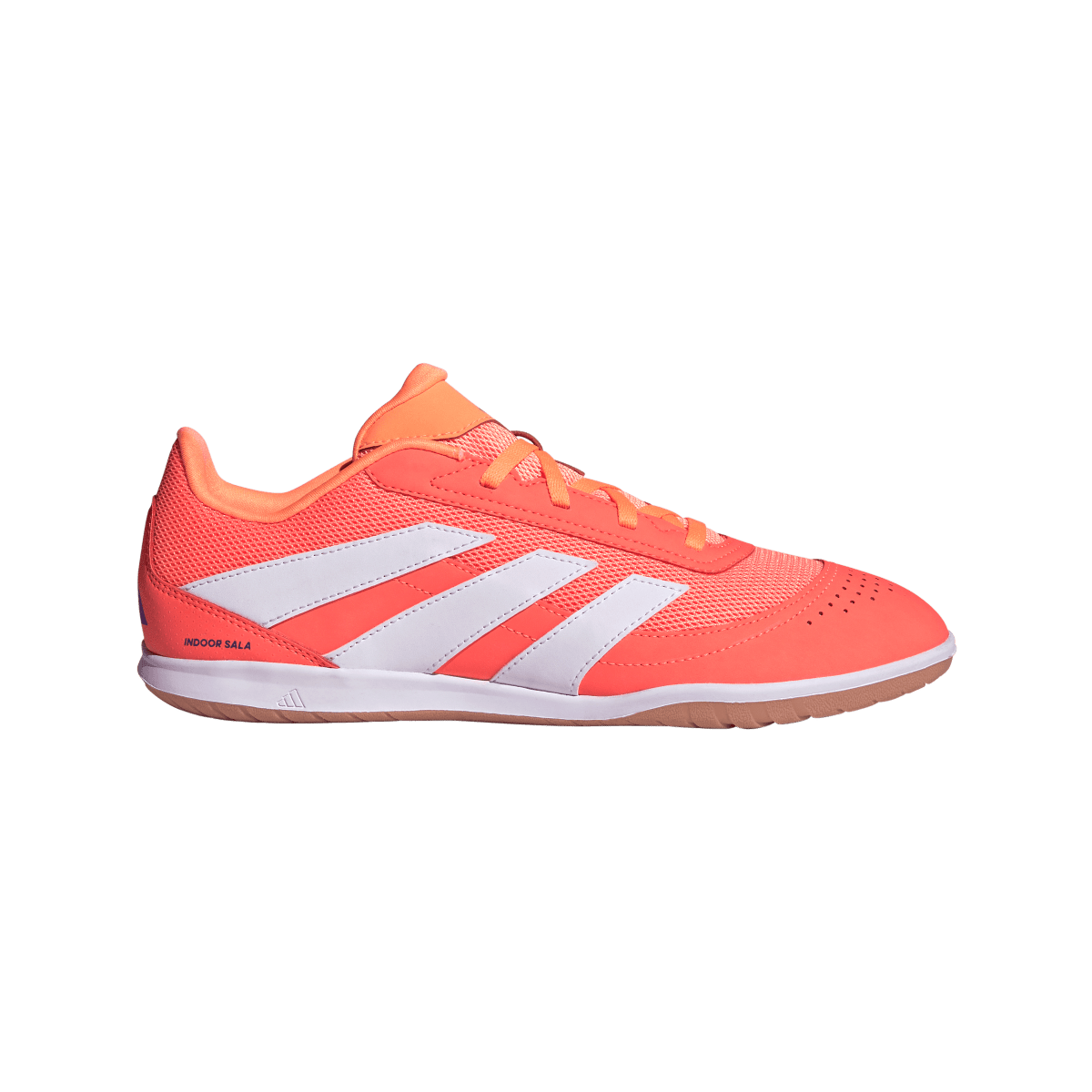 Adidas Hallenfußballschuhe Predator Club In Sala - machsport – Bild 