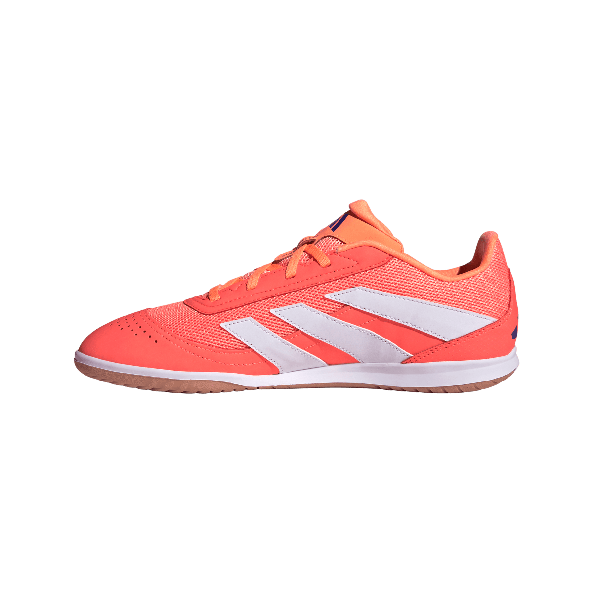 Adidas Hallenfußballschuhe Predator Club In Sala - machsport – Bild 