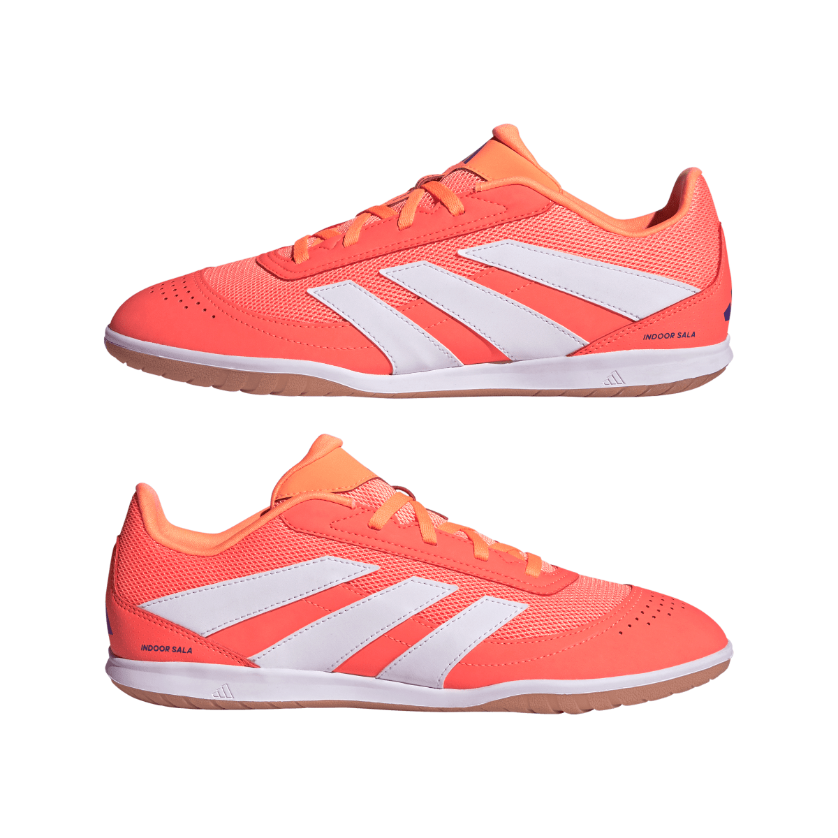 Adidas Hallenfußballschuhe Predator Club In Sala - machsport – Bild 