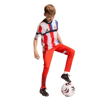 FC Bayern München Preshirt Kids 25/26 - machsport