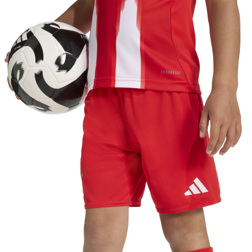 FC Bayern München Home Mini 25/26 - machsport – Bild 