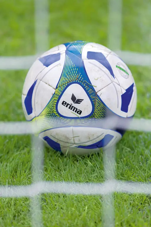 Erima Hybrid Trainings-Set mit 10 Fußbällen Größe 5 und Ballnetz, ideal für Training und Spiel. – Bild 