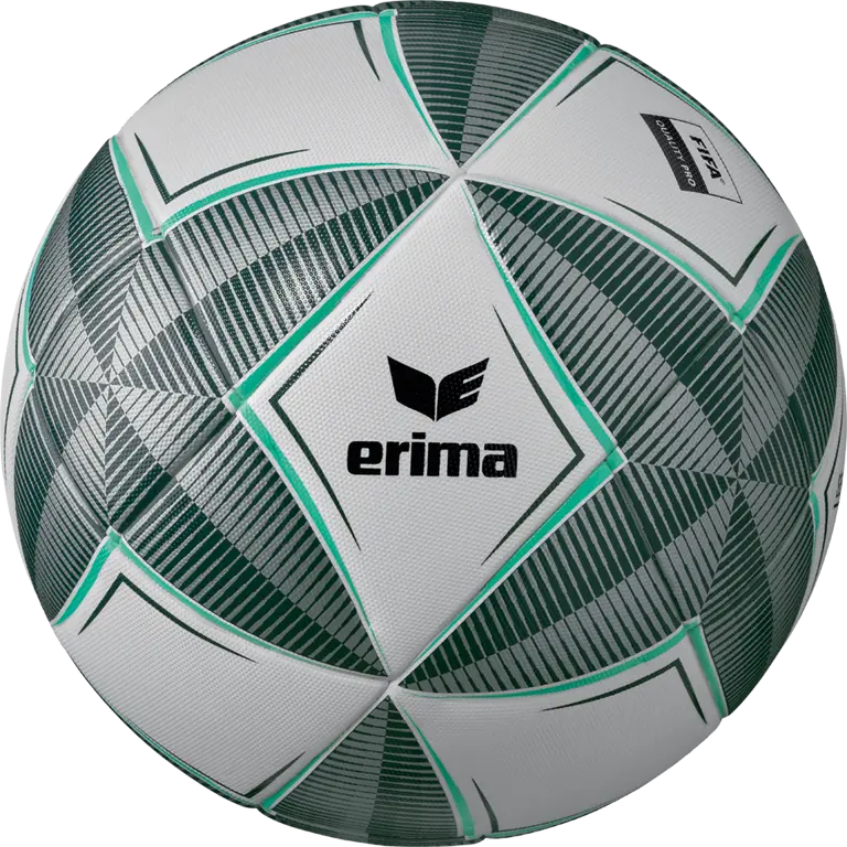 Erima Senzor-Star Pro 10er-Set mit 10 Fußballgröße 5 und Ballnetz für Fußballtraining und -spiele – Bild 