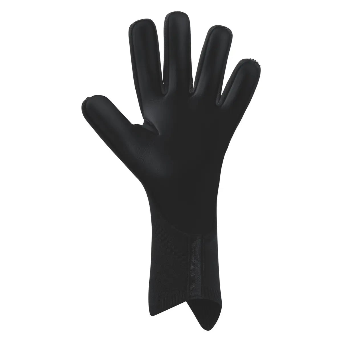 Erima Torwarthandschuhe Aero Claw Legend - machsport