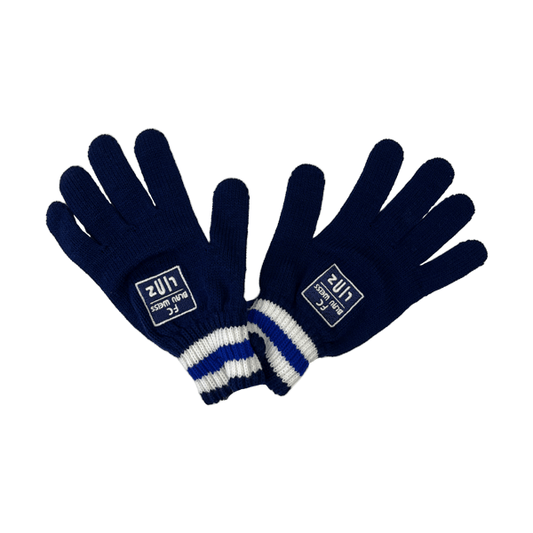 FC Blau-Weiß Linz Handschuhe – blau / ONE SIZE