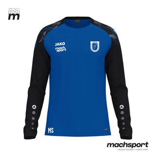 UVB Hinzenbach Trainingsshirt langarm - machsport
