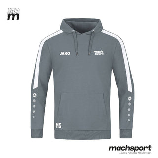 Europagymnasium Auhof Kapuzensweat grau - machsport