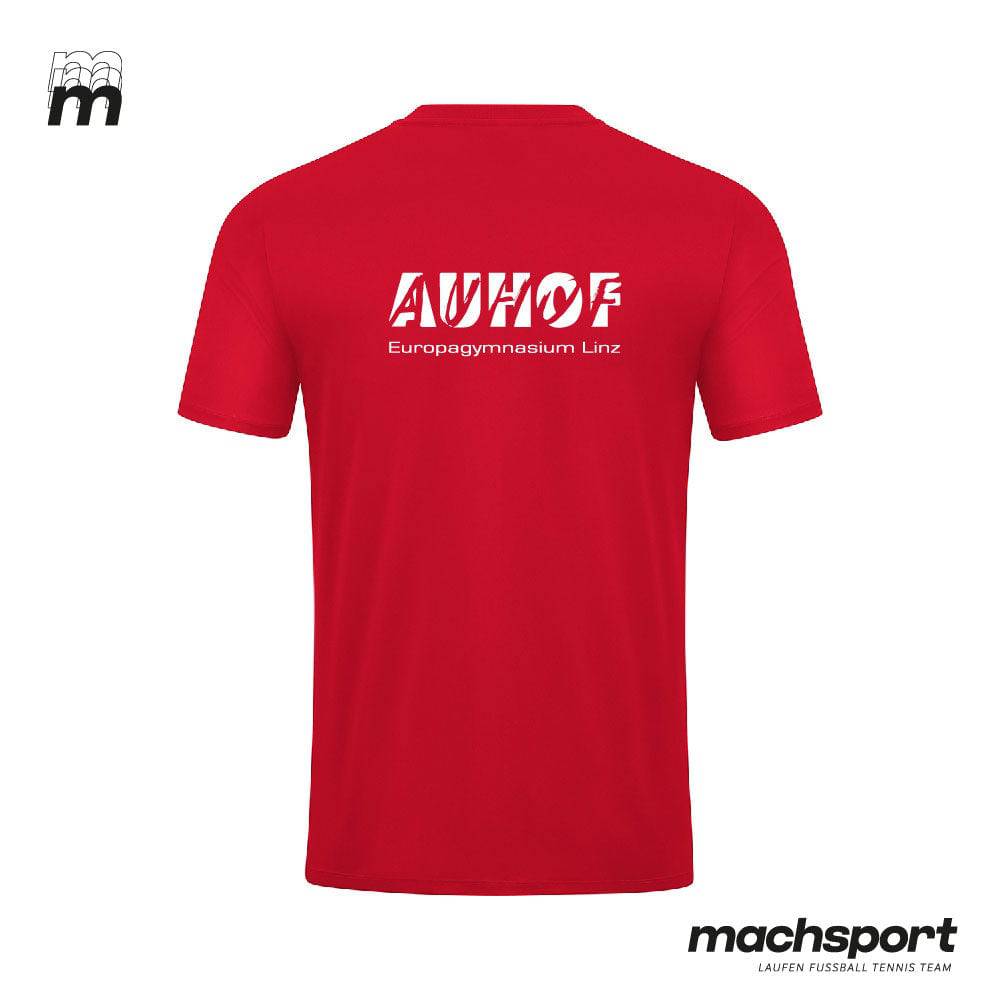 Europagymnasium Auhof Shirt - machsport – Bild 