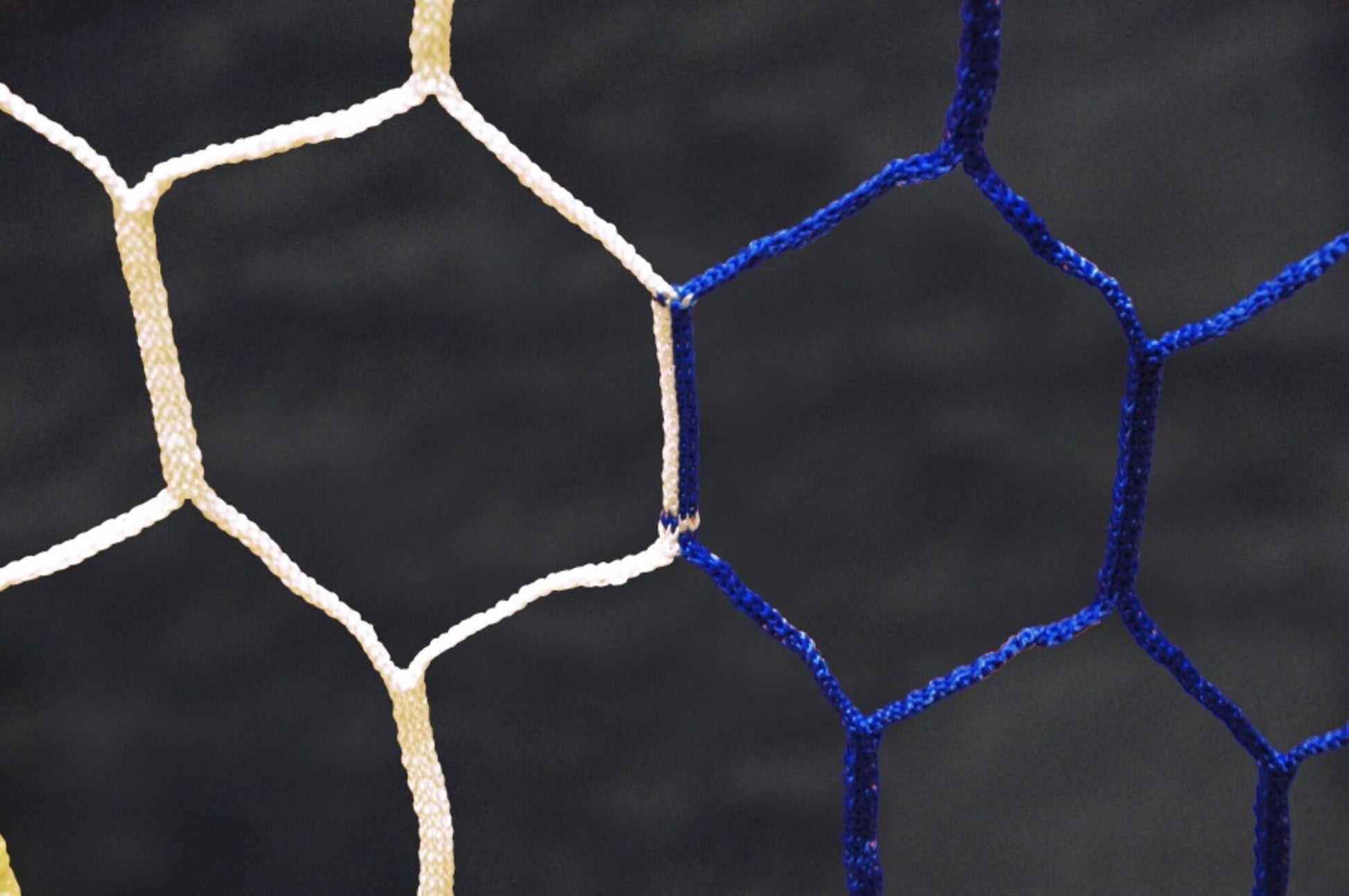 Powershot Fußballnetz - 11er Tor - Wabenförmig - 4mm Weiß/Blau - machsport – Bild 