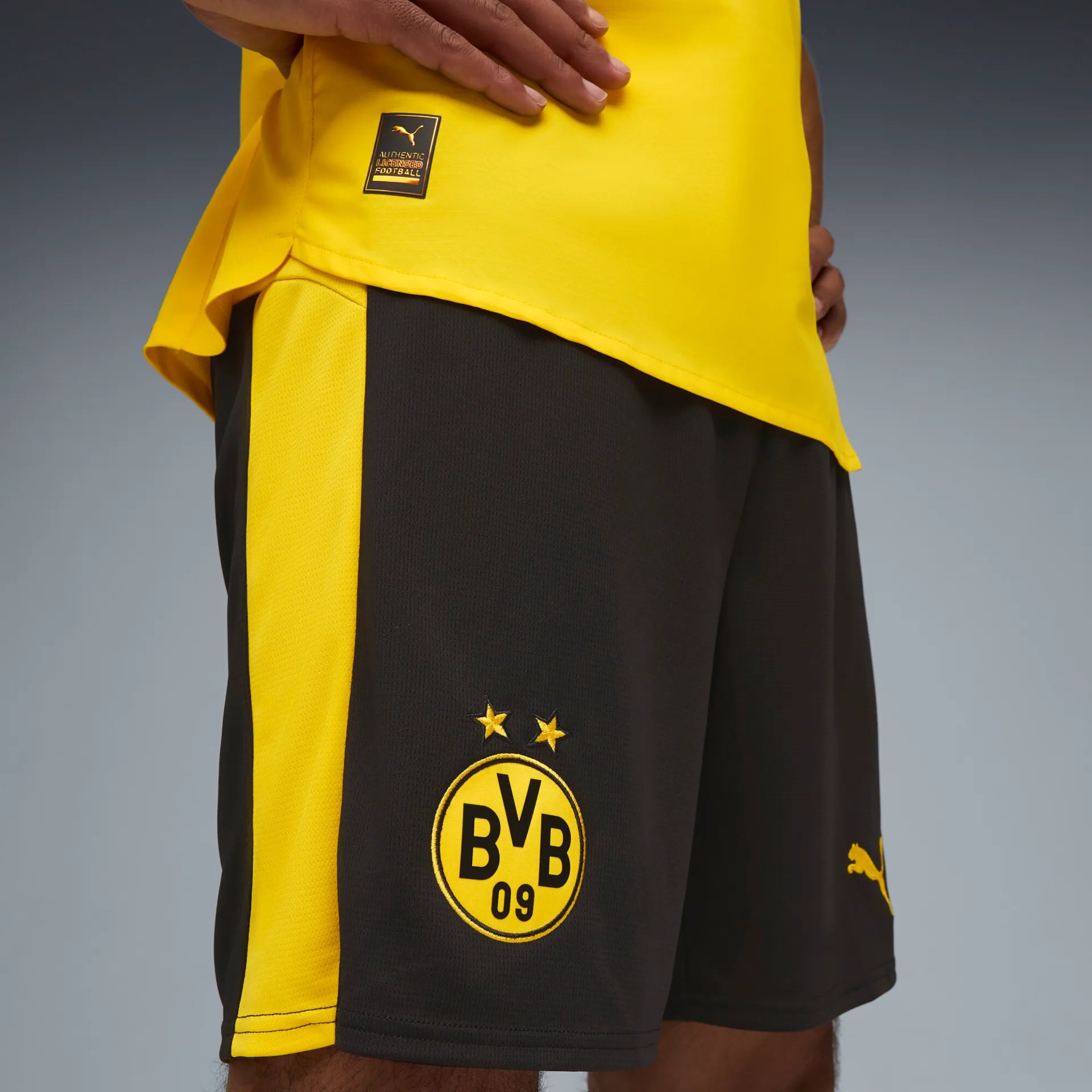 BVB Shorts Replica - machsport – Bild 