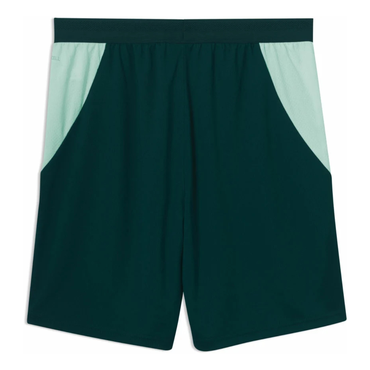 ÖFB Herrenfußballhose Shorts Replica - machsport