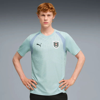 ÖFB  Herrenfußballshirt Training Jersey - machsport