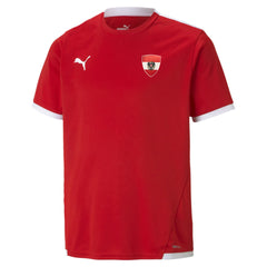 Österreich Kinderfanshirt - machsport
