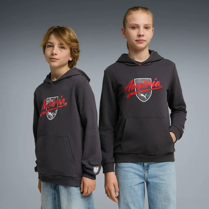 ÖFB Kinderpullover Culture Hoodie - machsport