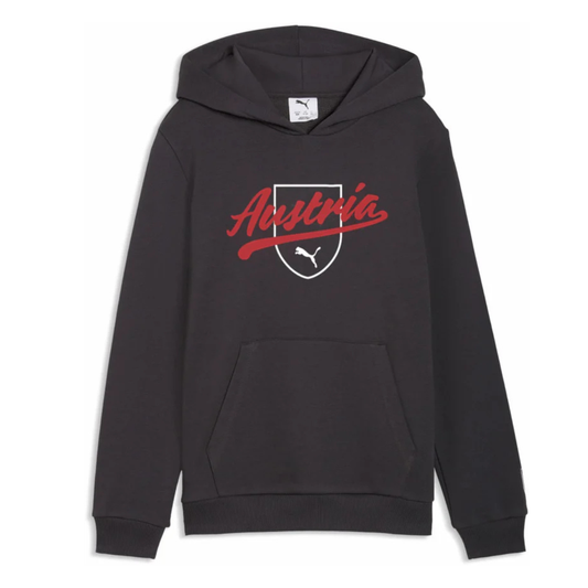 ÖFB Kinderpullover Culture Hoodie – grau / 116
