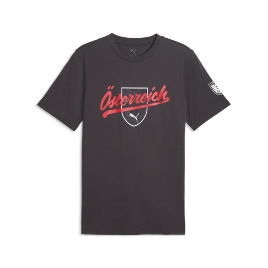 ÖFB Herrenfußballshirt Culture Tee – grau / S