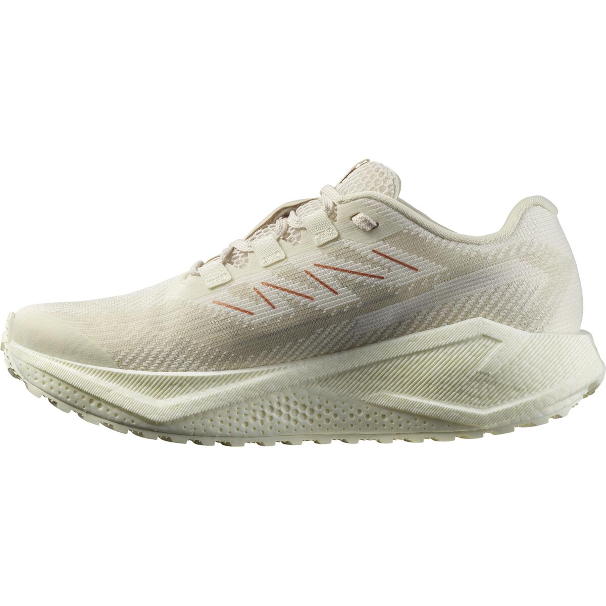 Salomon Damenlaufschuhe Aero Blade 3 GRVL - machsport