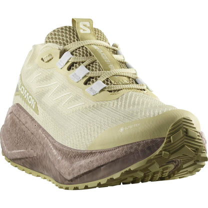 Salomon Damenlaufschuhe Aero Blaze 3 GRVL GTX - machsport