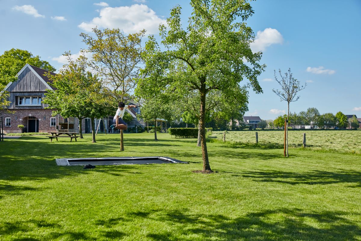 Salta Trampolin Royal Baseground Sports - 305x214cm - Rechteckig Schwarz - machsport – Bild 